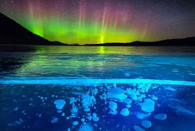 Nature jigsaw puzzle