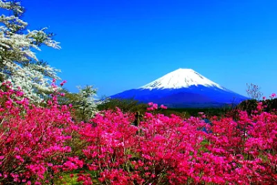 Nature jigsaw puzzle