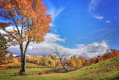 Nature jigsaw puzzle