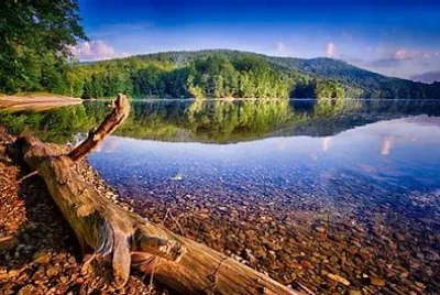 Nature jigsaw puzzle