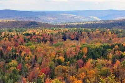 Nature jigsaw puzzle