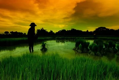 Nature jigsaw puzzle