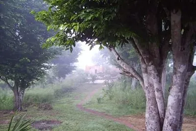 amanecer de cuento