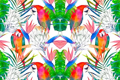 Perroquets