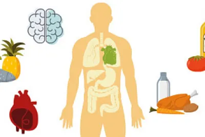 פאזל של La salud