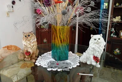 pussycat