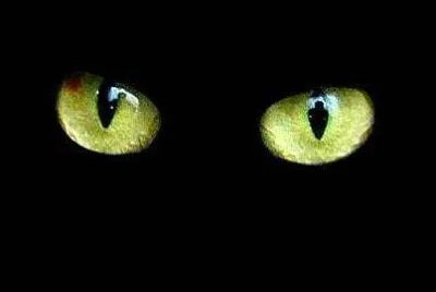 OJOS