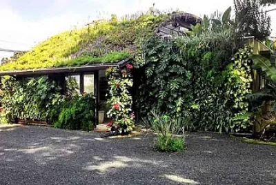 פאזל של Techo verde