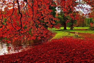 naturaleza
