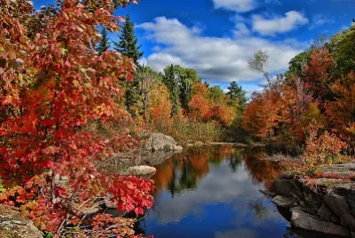 naturaleza