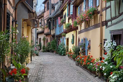 Alcasia France