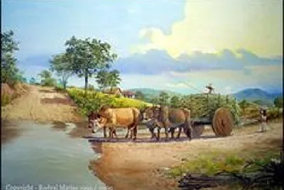 JR 559