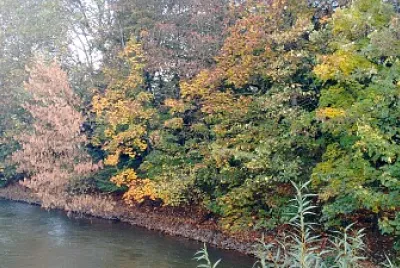 herfst