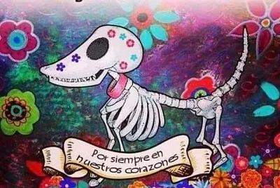 OFRENDA