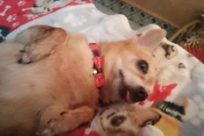 ATE
