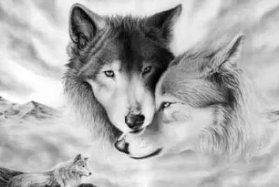 LOVER WOLVES