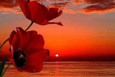 RED SKY