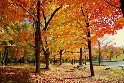 naturaleza