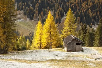 naturaleza