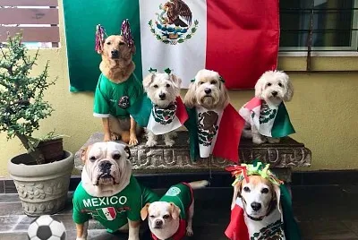 PATRIOTAS