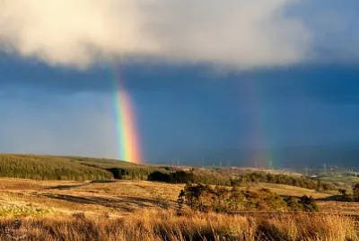 Rainbow jigsaw puzzle