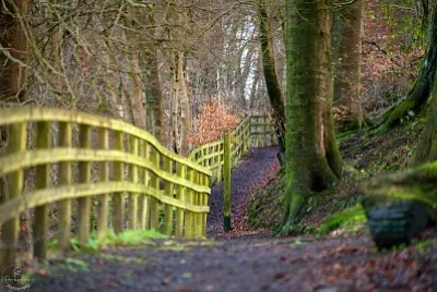 woodland fence jigsaw puzzle