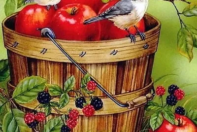 Beautiful Birds jigsaw puzzle