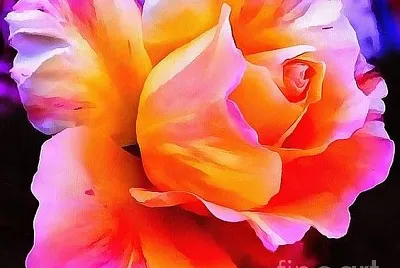 So Beautiful jigsaw puzzle