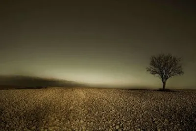 A048