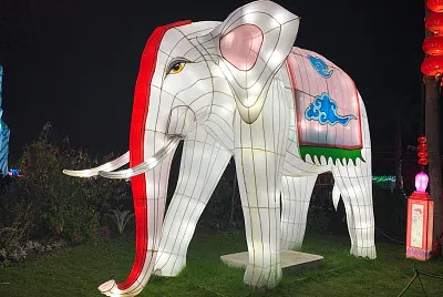 Elephant
