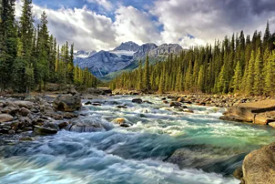 naturaleza