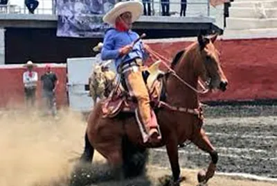 calador