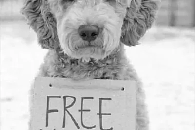 FREE