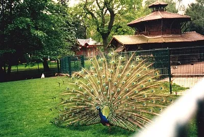 Jardin botanique Ã  Tours