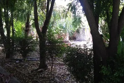 naturaleza