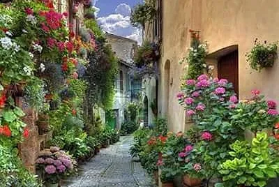 flores