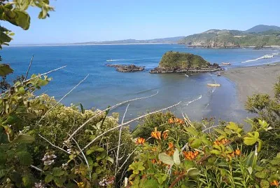 PuÃ±ihuil