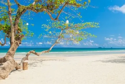 imagem jigsaw puzzle