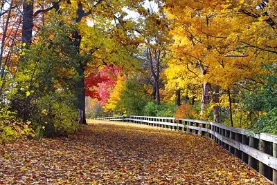 naturaleza