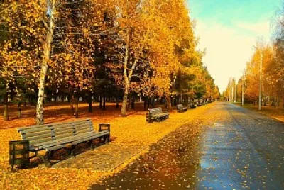 naturaleza