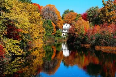 naturaleza