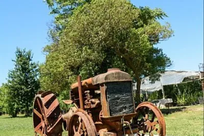 campo