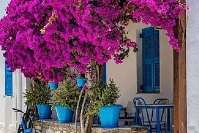 paysage