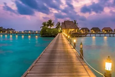 paysage