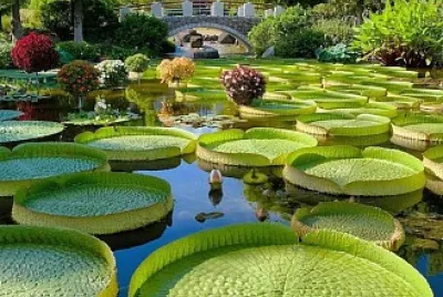 paysage
