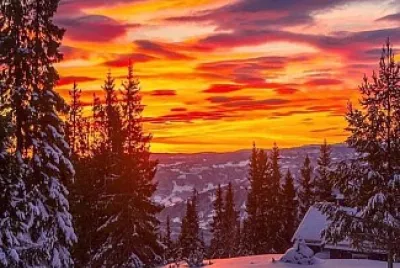 paysage