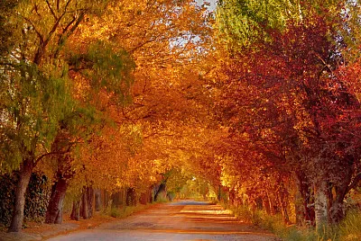 naturaleza