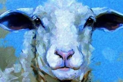 ewe jigsaw puzzle
