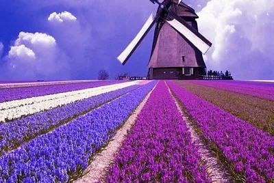 Spring Garden jigsaw puzzle