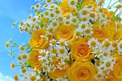 flores